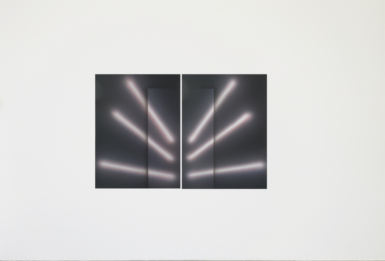 Dan, put back14, acrylique sur papier, 76,5x56 cm (x2), 2026